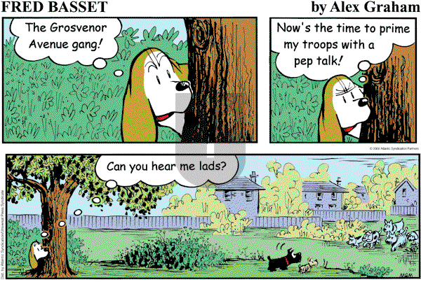 Fred Basset on Sunday May 31, 2009 Comic Strip