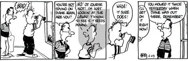 Luann on Saturday June 23, 1990 Comic Strip