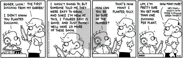 FoxTrot on Monday July 27, 1998 Comic Strip