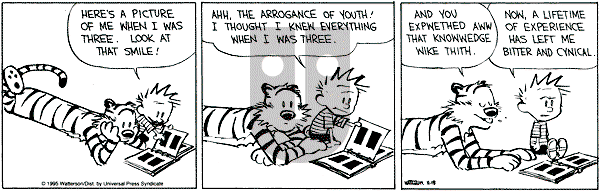 Calvin and Hobbes - Saturday November 18, 1995 Comic Strip