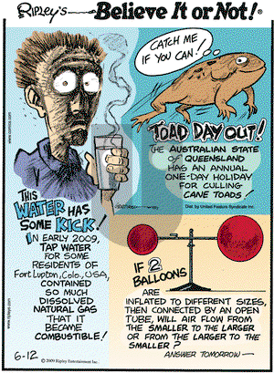 Ripley's Believe It or Not on Friday June 12, 2009 Comic Strip