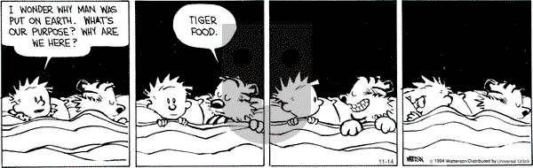 Calvin and Hobbes on Friday November 14, 2014 Comic Strip