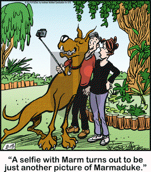 Marmaduke on Wednesday February 13, 2019 Comic Strip