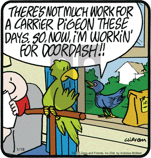 Ziggy - Saturday January 18, 2025 Comic Strip