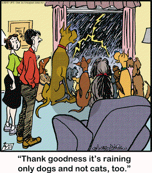 Marmaduke on Saturday March 21, 2015 Comic Strip