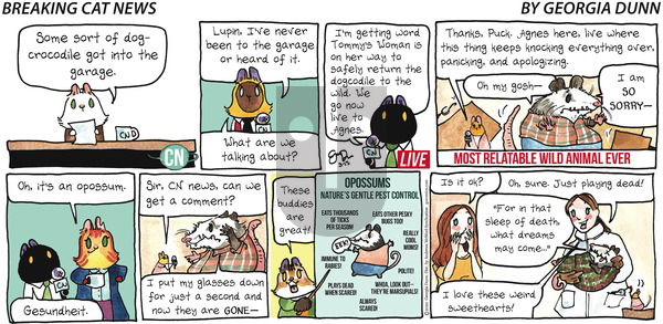 Breaking Cat News on Sunday March 15, 2020 Comic Strip