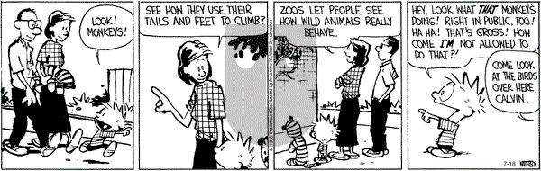 Calvin and Hobbes - Wednesday July 18, 2018 Comic Strip