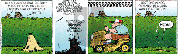 Over the Hedge on Wednesday September 7, 2016 Comic Strip