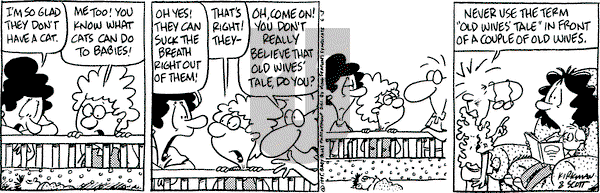 Baby Blues on Saturday June 3, 1995 Comic Strip
