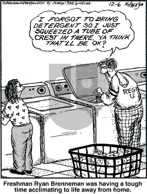Close to Home on Wednesday December 6, 2006 Comic Strip