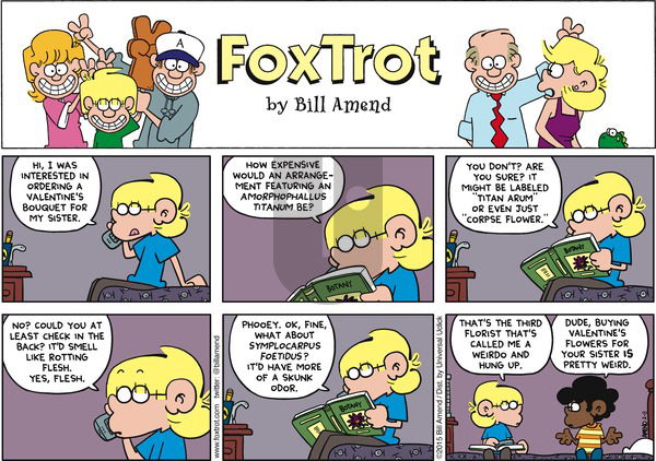 FoxTrot on Sunday February 8, 2015 Comic Strip