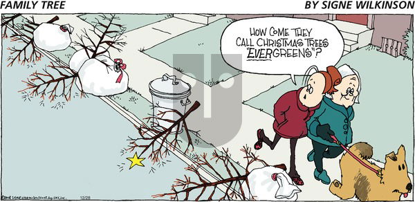 Family Tree on Sunday December 28, 2008 Comic Strip