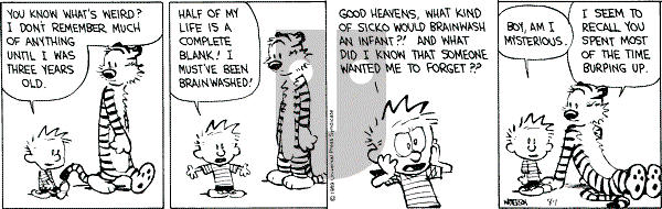 Calvin and Hobbes - Tuesday August 1, 1989 Comic Strip