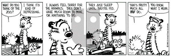 Calvin and Hobbes on Thursday July 21, 1988 Comic Strip