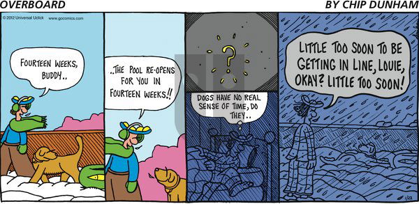 Overboard on Sunday January 22, 2012 Comic Strip
