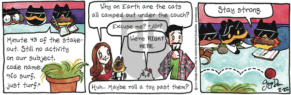 Breaking Cat News on Wednesday February 26, 2020 Comic Strip