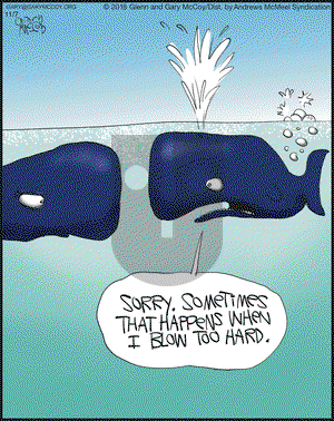 The Flying McCoys on Wednesday November 7, 2018 Comic Strip