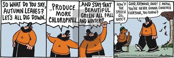 Overboard on Thursday October 6, 2016 Comic Strip