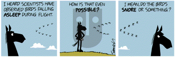 Dark Side of the Horse on Saturday March 14, 2020 Comic Strip