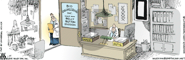 Non Sequitur on Saturday January 24, 2015 Comic Strip