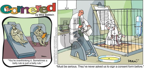 Cornered on Sunday August 27, 2017 Comic Strip