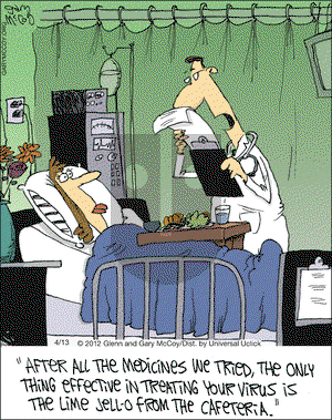 The Flying McCoys on Friday April 13, 2012 Comic Strip