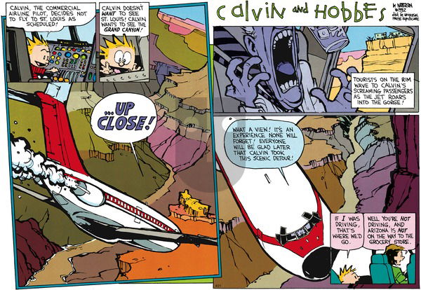 Calvin and Hobbes on Sunday June 7, 1992 Comic Strip