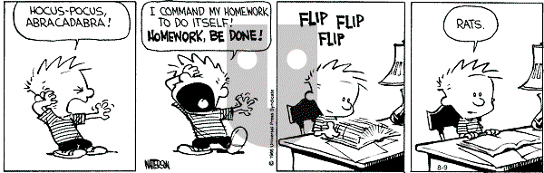 Calvin and Hobbes - Friday August 9, 1991 Comic Strip