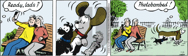 Fred Basset on Monday November 5, 2018 Comic Strip