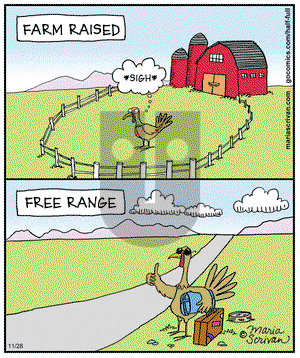 Half Full on Thursday November 28, 2013 Comic Strip