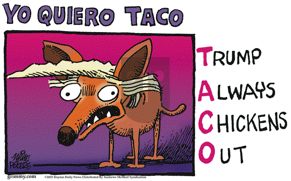 Mike Peters on Saturday May 31, 2025 Comic Strip