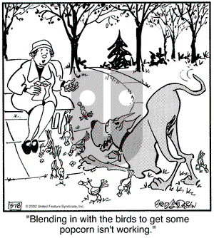 Marmaduke - Monday March 18, 2002 Comic Strip