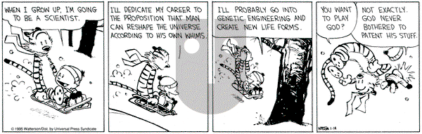 Calvin and Hobbes on Saturday January 14, 1995 Comic Strip