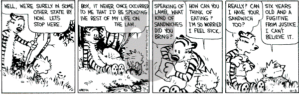 Calvin and Hobbes - Saturday June 3, 1989 Comic Strip