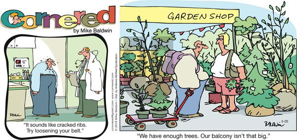 Cornered on Sunday May 20, 2018 Comic Strip