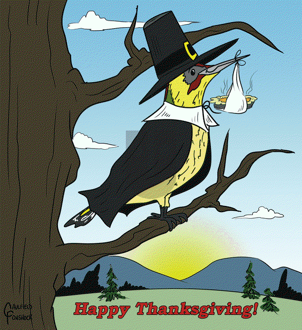 Yaffle on Wednesday November 27, 2024 Comic Strip