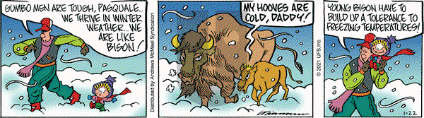 Rose is Rose on Friday January 22, 2021 Comic Strip