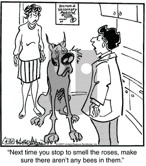 Marmaduke on Friday April 20, 2007 Comic Strip
