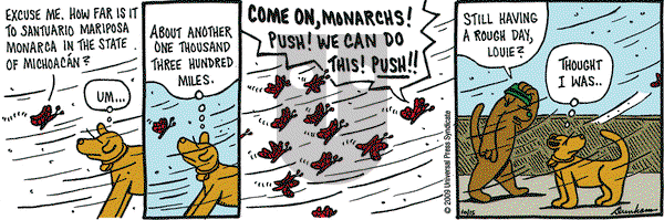 Overboard on Thursday October 15, 2009 Comic Strip