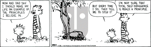 Calvin and Hobbes - Monday June 28, 1993 Comic Strip