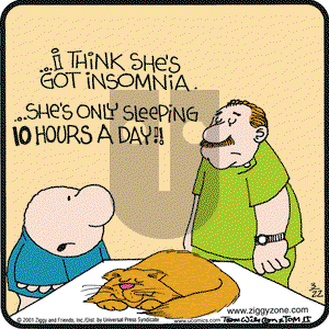 Ziggy on Thursday March 22, 2001 Comic Strip