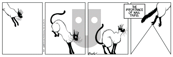 9 Chickweed Lane on Wednesday July 12, 2006 Comic Strip