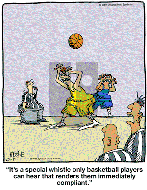 In the Bleachers on Friday October 5, 2007 Comic Strip