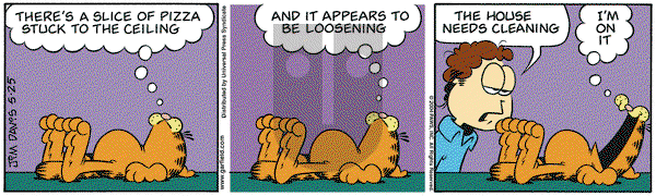 Garfield - Tuesday May 25, 2004 Comic Strip