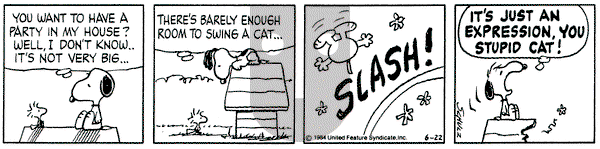 Peanuts on Friday June 22, 1984 Comic Strip