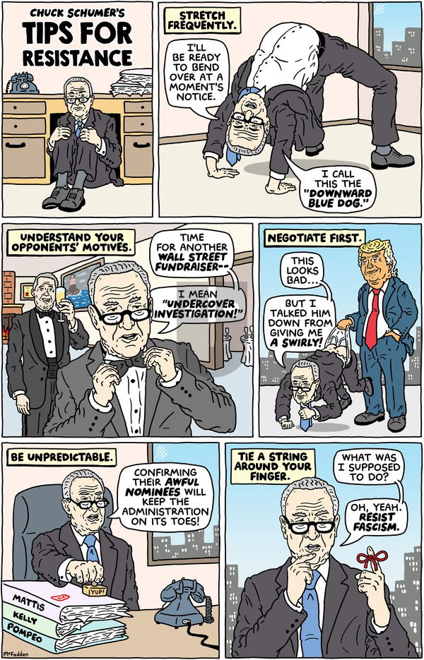 Brian McFadden - Sunday January 29, 2017 Comic Strip
