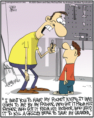 The Flying McCoys on Friday February 21, 2020 Comic Strip