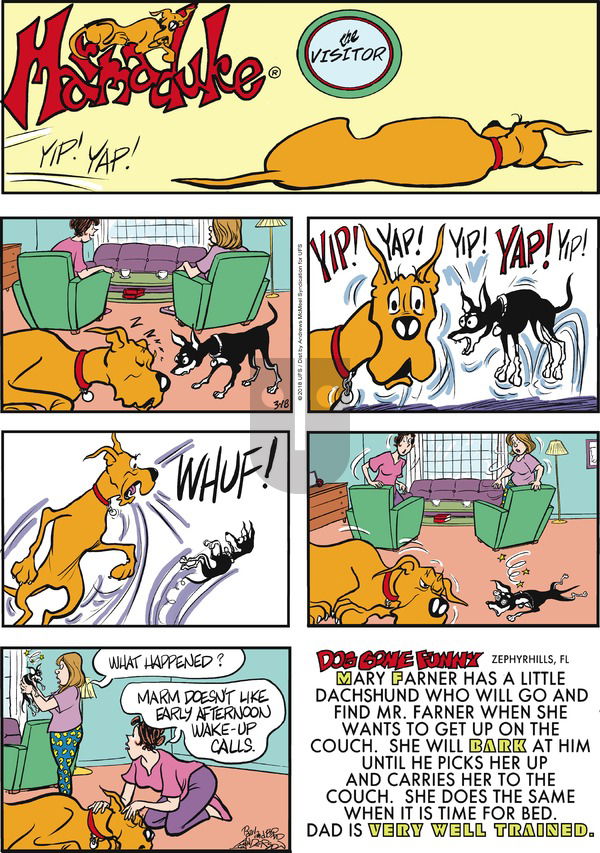 Marmaduke on Sunday March 18, 2018 Comic Strip