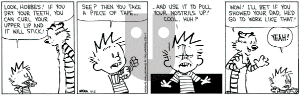 Calvin and Hobbes on Saturday October 2, 1993 Comic Strip