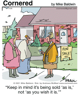 Cornered on Saturday June 26, 2021 Comic Strip